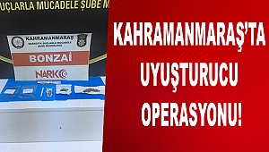 Kahramanmaraş’ta bonzai operasyonu
