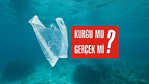 Plastik poşetlerin 11 bin metre derinliğe inmesi mümkün mü?