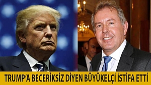 Trump’a beceriksiz diyen büyükelçi istifa etti