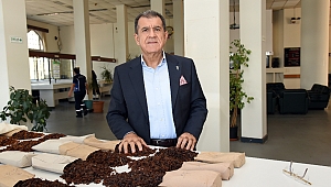 Çekirdeksiz kuru üzüm ihracatı 500 milyon doları aştı