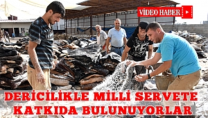 Dericilikle Milli Servete Katkıda Bulunuyorlar