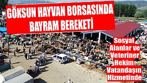 Göksun Hayvan Borsasında Bayram Bereketi Yaşanıyor
