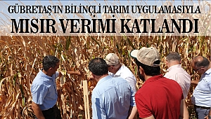Gübretaş’ın Bilinçli Tarım Uygulamasıyla Mısır Verimi Katlandı