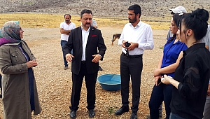 Gürbüz: Hayvan Barınağı İçin Gerekli Çalışmaları Yapıyoruz