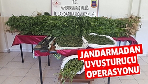 Jandarma'dan uyuşturucu operasyonu