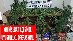 Kahramanmaraş’ta kenevir bitkisi yetiştiren şahıs yakalandı