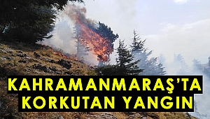Kahramanmaraş’ta Korkutan Yangın
