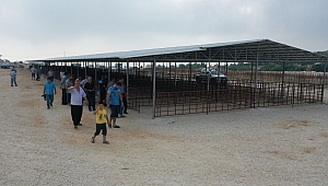 Kurban pazarı, Belediye ile Bayrama hazır