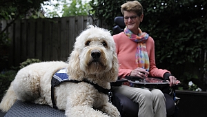 Rehber Köpekler 7. Engelsiz Filmler festivali’nde