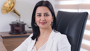 Siber Zorbalık Ve Sosyal Medyada Tacizin Hukukçası