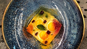 Tadında Anadolu’nun yeni konsepti Harman ile havalimanında füzyon deneyimi