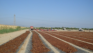 Türk kuru üzümüne 80 milyon dolarlık dokunuş