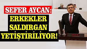 Aycan: Erkekler Saldırgan Yetiştiriliyor