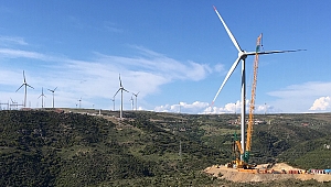 Hareket Ukrayna Ofisini Açtı