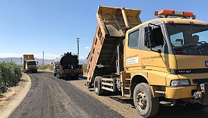 Hayvan Borsasına Alternatif Yol