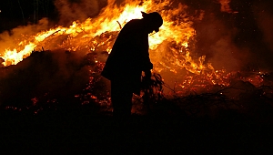 IoT uygulamaları orman yangınlarını tespit ediyor