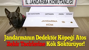 Jandarmanın Dedektör Köpeği Atos Zehir Tacirlerine Kök Söktürüyor!
