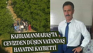 Kahramanmaraş’ta Cevizden Düşen Vatandaş Hayatını Kaybetti