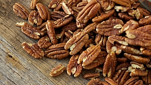 Sağlıklı Atıştırmalıklar Öğrencilerin Olmazsa Olmazı