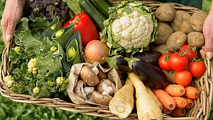 Sağlıklı Bir Yaşamın Sırrı Organik Beslenmede