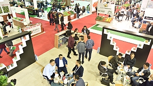 Türk Gübresi Dünya Pazarlarına Açılıyor