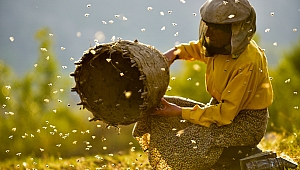 7. Boğaziçi Film Festivali’nde Her Yelpazeden Film Var!