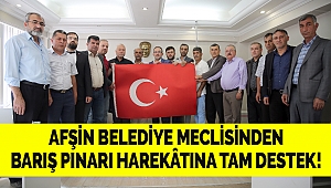 Afşin belediye meclisinden barış pınarı harekâtına tam destek!