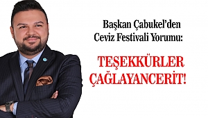 Başkan Çabukel'den Ceviz Festivali Yorumu Teşekkürler Çağlayancerit