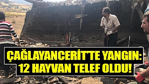 Çağlayancerit’te yangın: 12 hayvan telef oldu