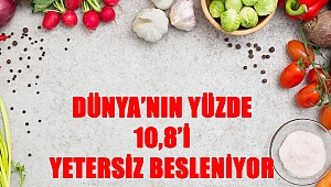 Dünya'nın Yüzde 10,8'i Yetersiz Besleniyor