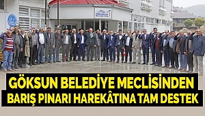 Göksun Belediye Meclisinden Barış Pınarı Harekâtına Tam Destek