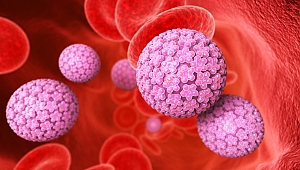 HPV’nin Etkili Silahı: Rahim Ağzı Kanseri Aşısı