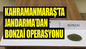Kahramanmaraş’ta Jandarma’dan Bonzai Operasyonu