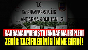 Kahramanmaraş'ta jandarma ekipleri zehir tacirlerinin inine girdi