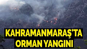 Kahramanmaraş'ta Orman Yangını