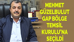 Mehmet Güzelbulut GAP Bölge Temsil Kurulu’na Seçildi