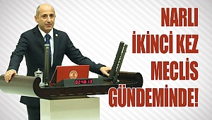 Narlı ikinci kez meclis gündeminde!