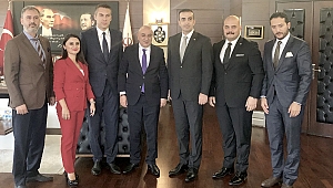 Organik Hayata Dönüş