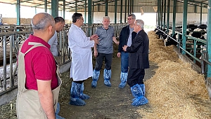 Rektör Can Ziraat Fakültesi Uygulama ve Araştırma Çiftliğinde İncelemelerde Bulundu