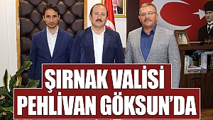 Şırnak Valisi Pehlivan Göksun'da