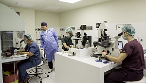 Son 50 yıldır kendimizi kısırlaştırıyor muyuz?