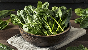 Sonbaharda sağlık veren 6 önemli besin!