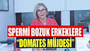 Spermi Bozuk Erkeklere Domates Müjdesi