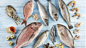 Türk su ürünleri ve hayvansal mamulleri Anuga Fuarı’na damga vurdu