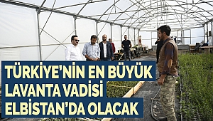 Türkiye'nin En Büyük Lavanta Vadisi Elbistan'da Olacak