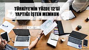 Türkiye’nin Yüzde 12’si Yaptığı İşten Memnun