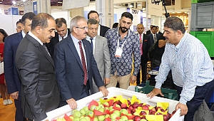 Yaş Meyve Sebze sektöründe büyük buluşma