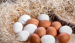 Yumurta, Anne Sütünden Sonra En Zengin Protein Kaynağı