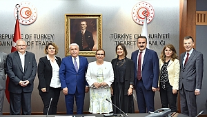 Zeytin sektörünün desteğe ihtiyacı var