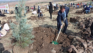 Ağaç dikme seferberliğine Gençlik Spor İl Müdürlüğü de katıldı